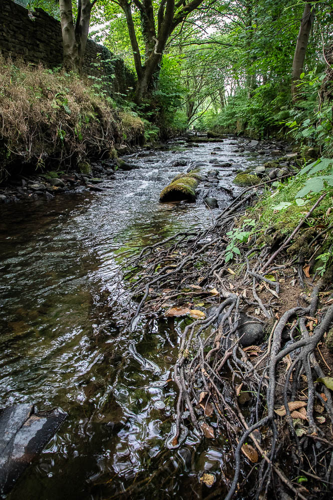 2018-07-12 Milltown-327