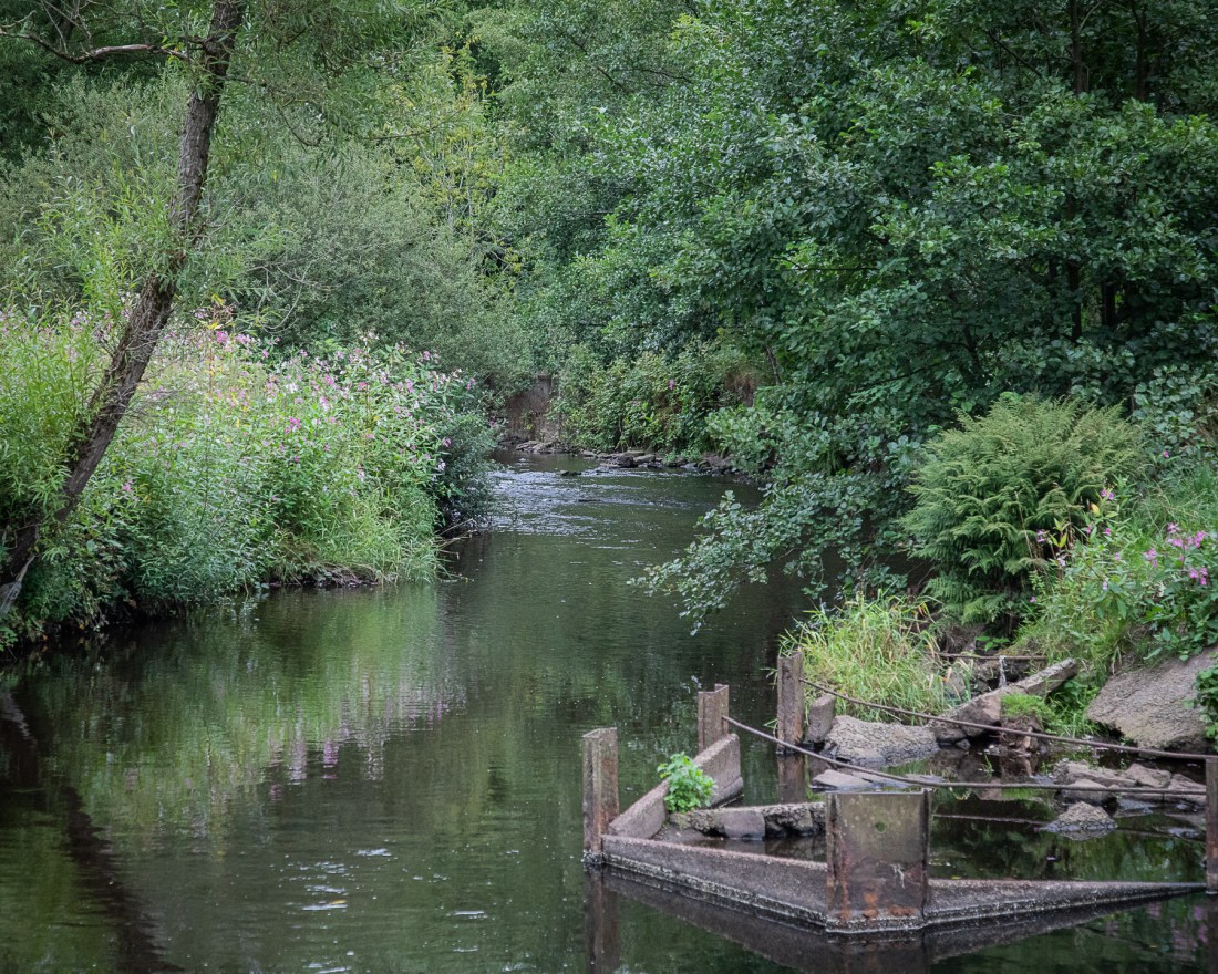 2018-08-18 Glossop EYV-7