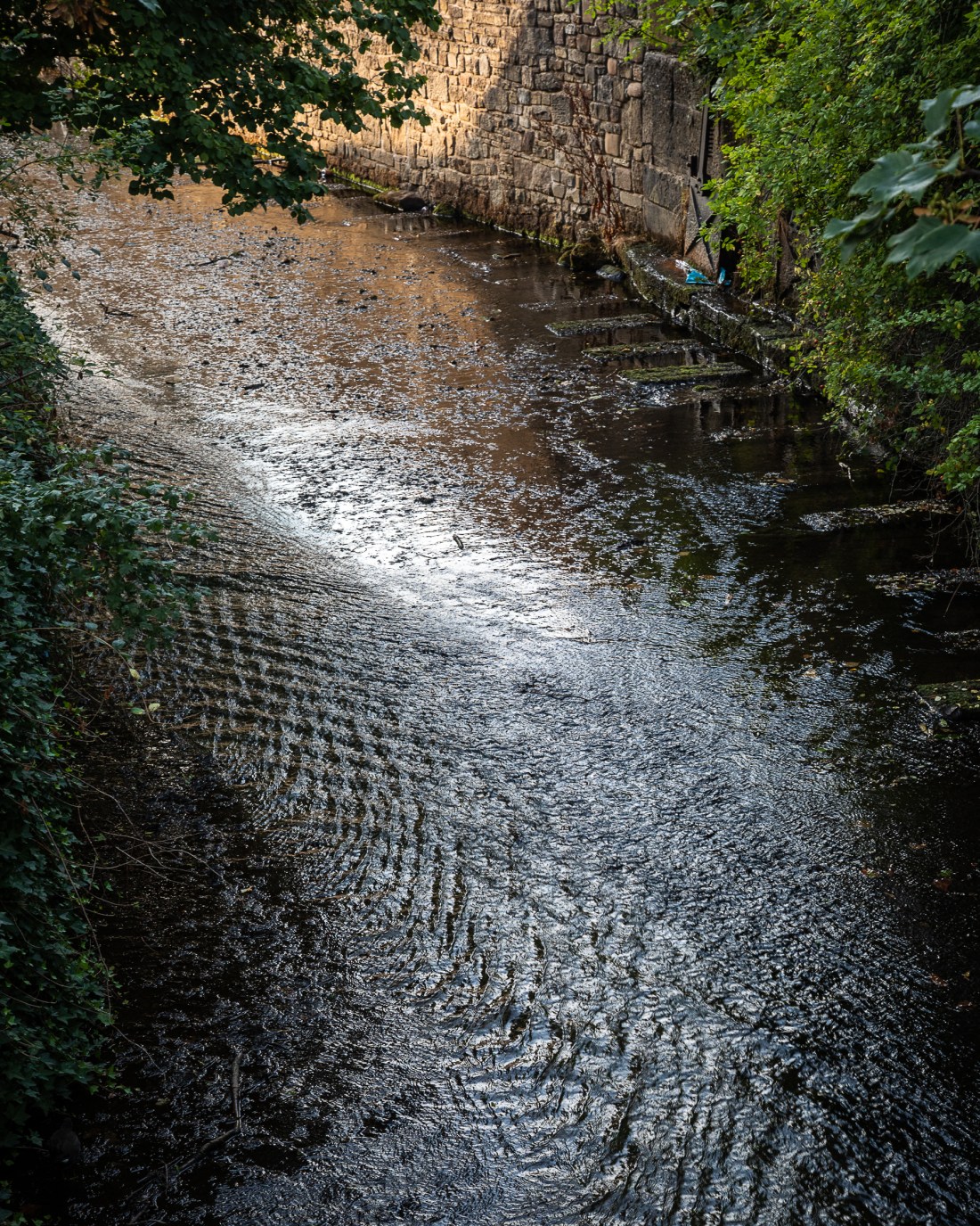 2018-08-21 Glossop EYV-41