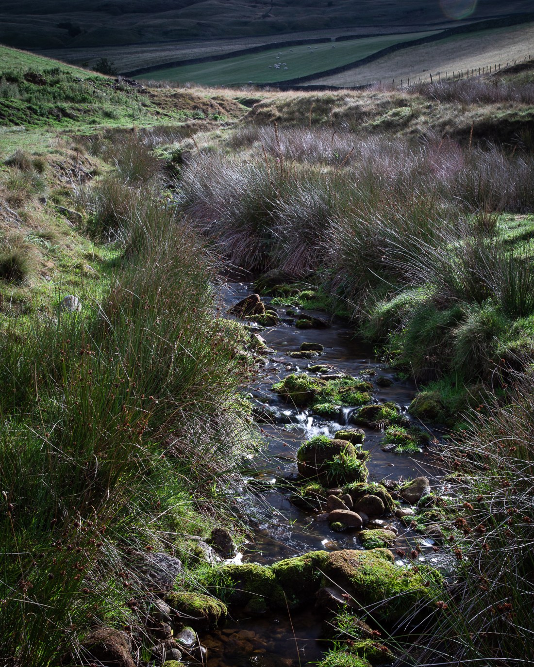2018-08-25 Shelf Stones-61