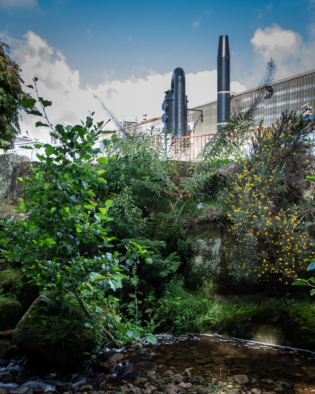 2018-08-25 Shelf Stones-87