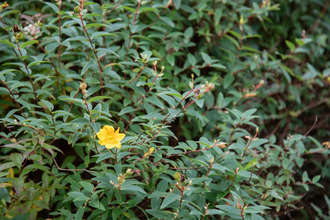 2018-10-07 EYV Ex1-2-2