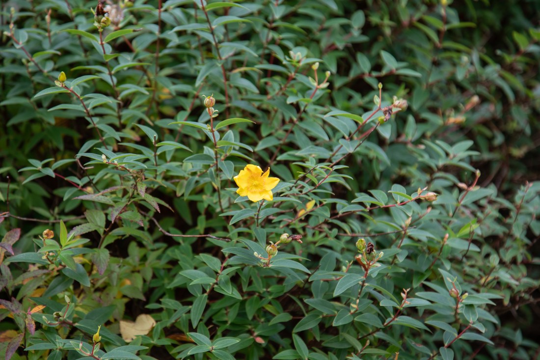 2018-10-07 EYV Ex1-2-3