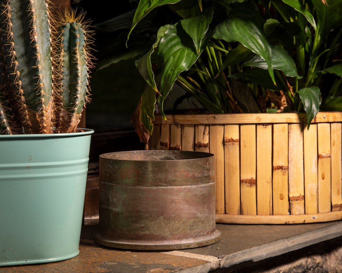 2019-01-12 oca collections-30