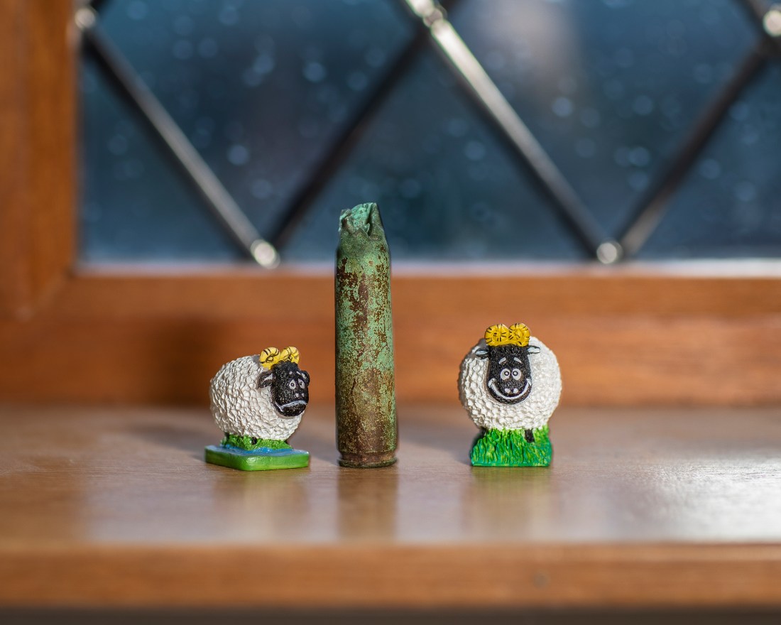 2019-01-12 oca collections-52