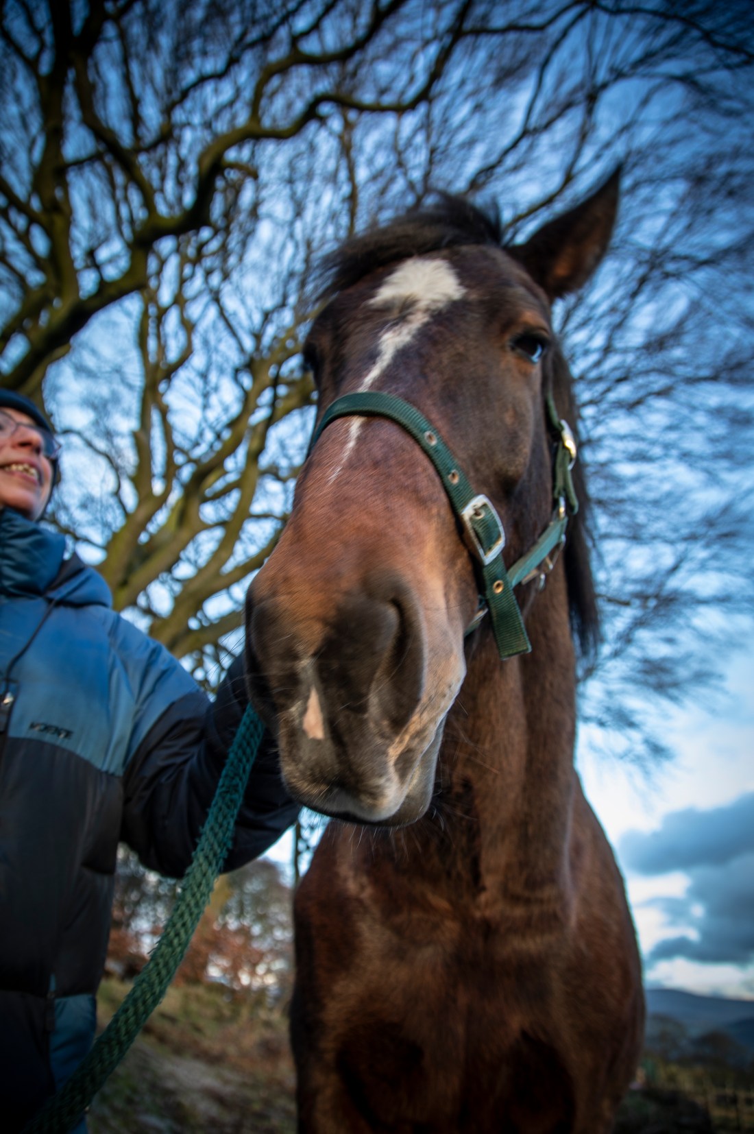 2019-02-10 Tigger-123