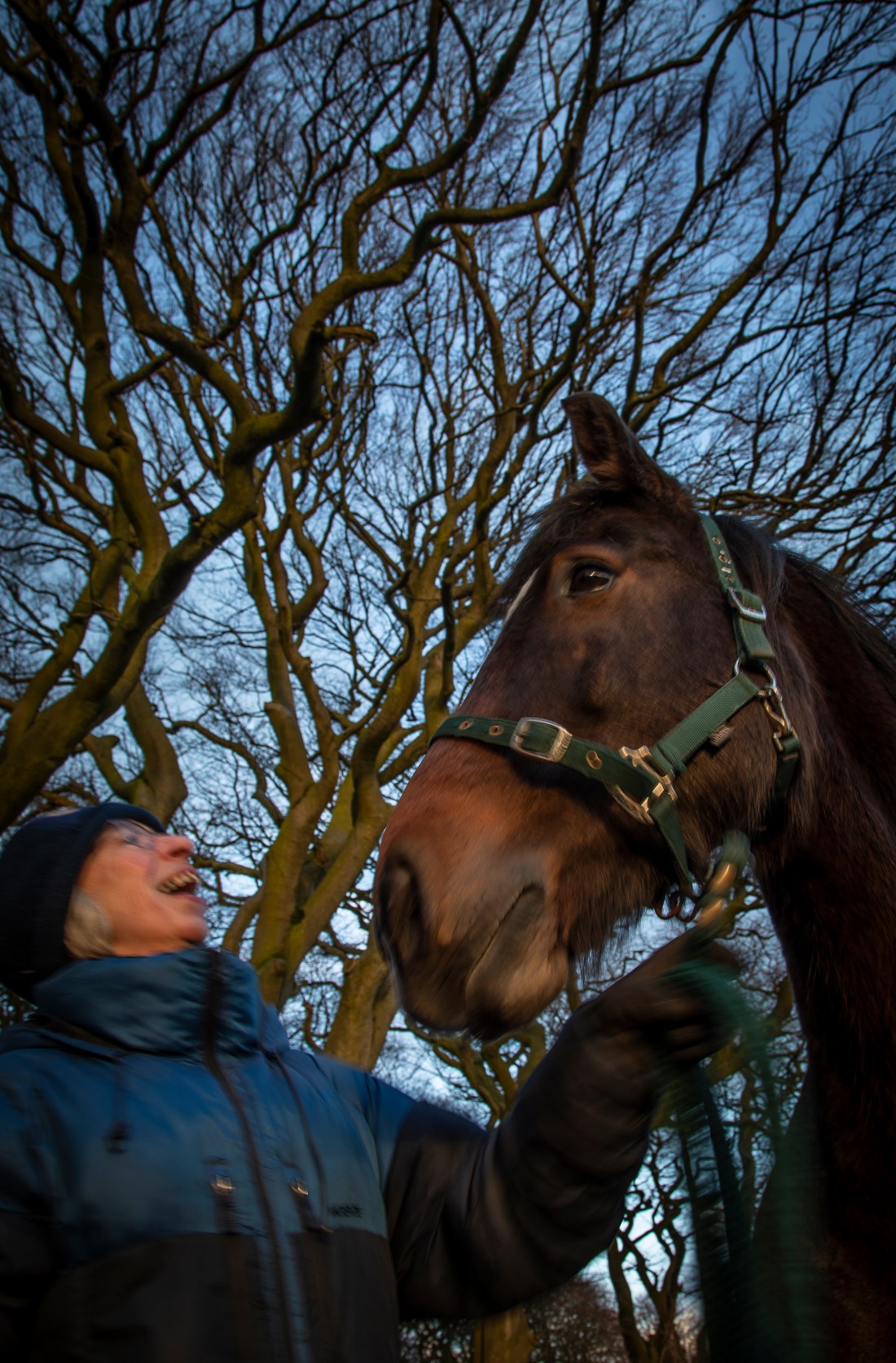 2019-02-10 Tigger-125