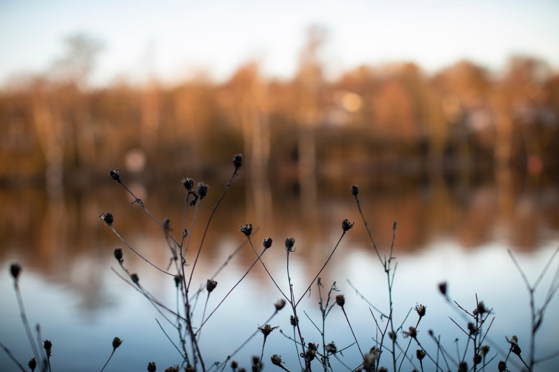 2019-02-14 Exercises 2-5+-42