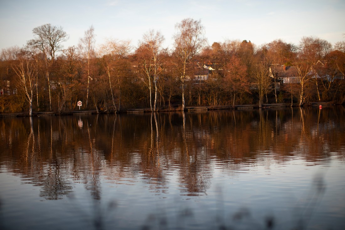 2019-02-14 Exercises 2-5+-43