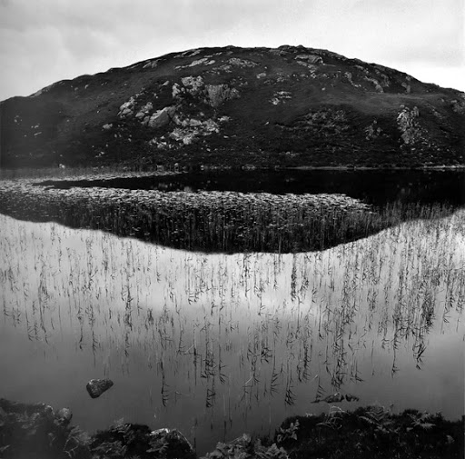 Fay Godwin Reedy Loch