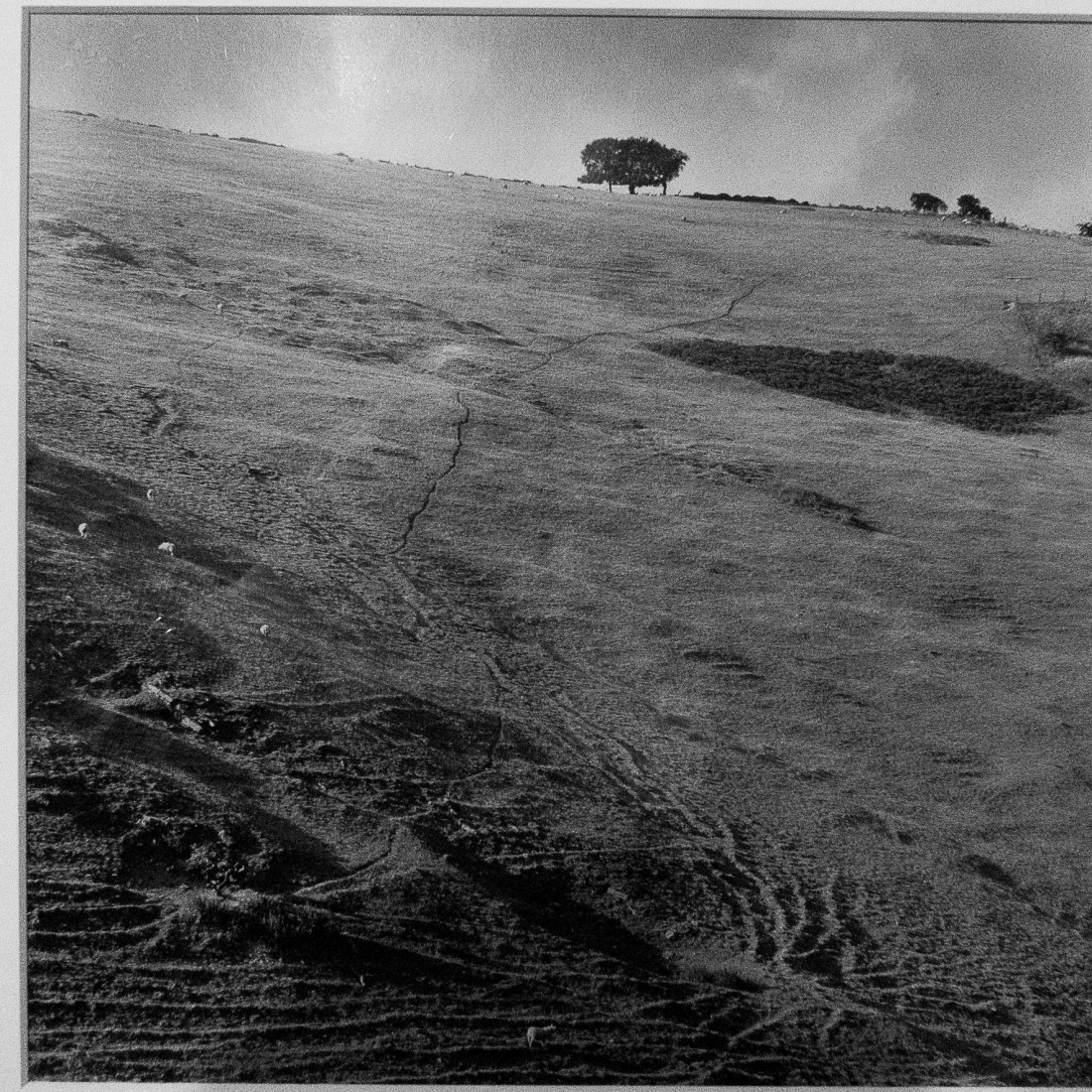 Haven Hill, Bradbourne. Fay Godwin