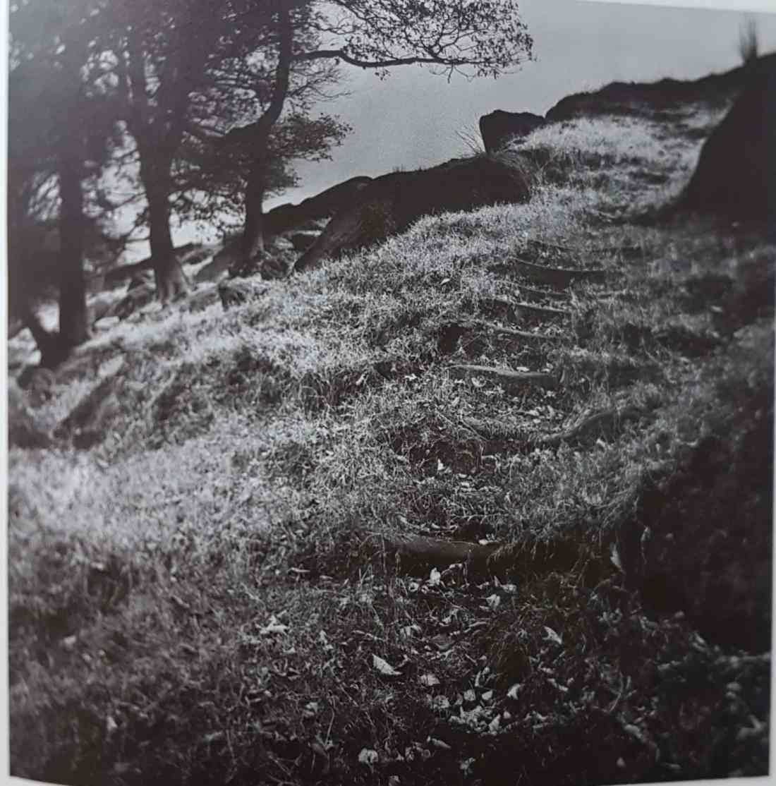 Two, Remains of Elmet