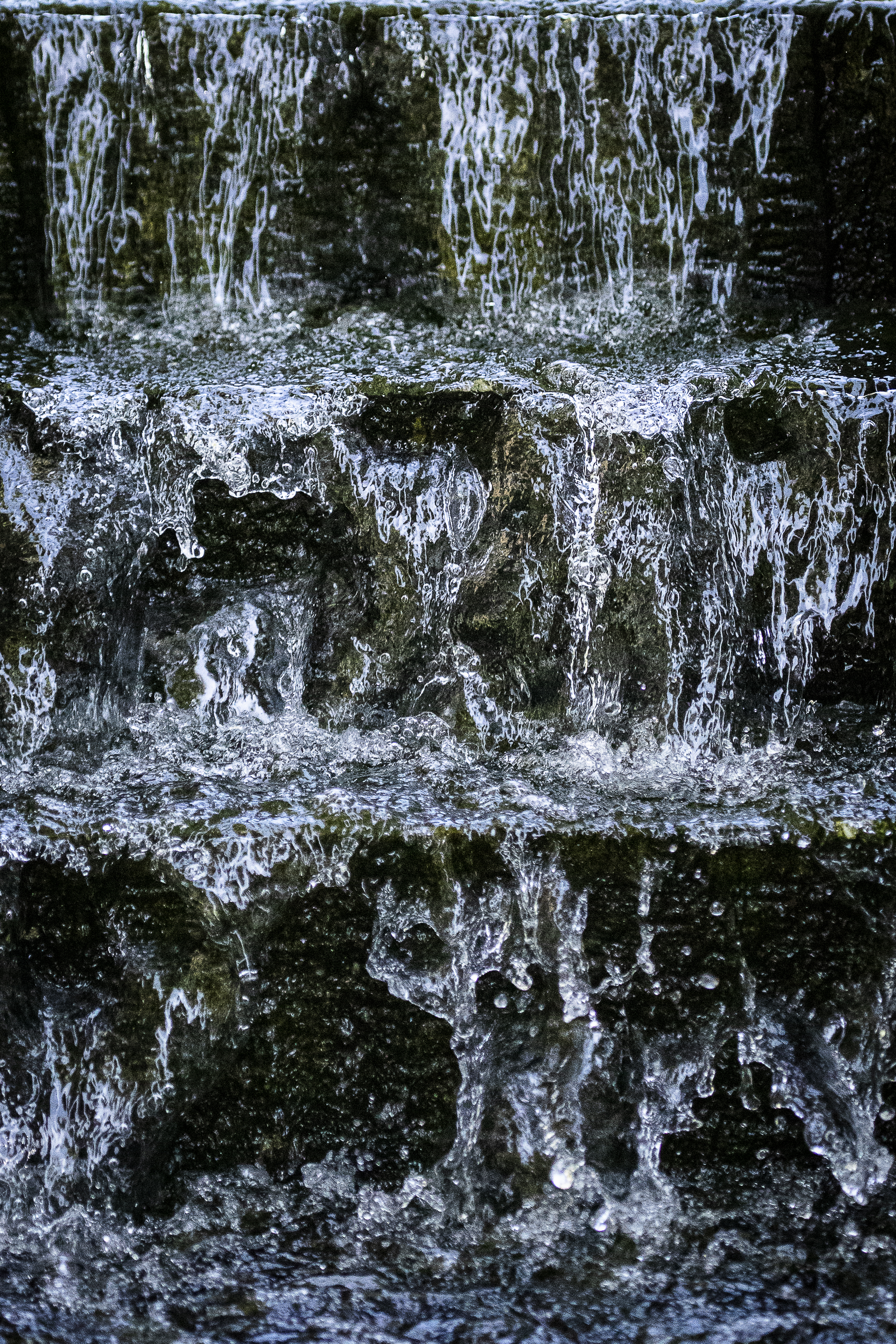 2019-06-06 Holker-52-2