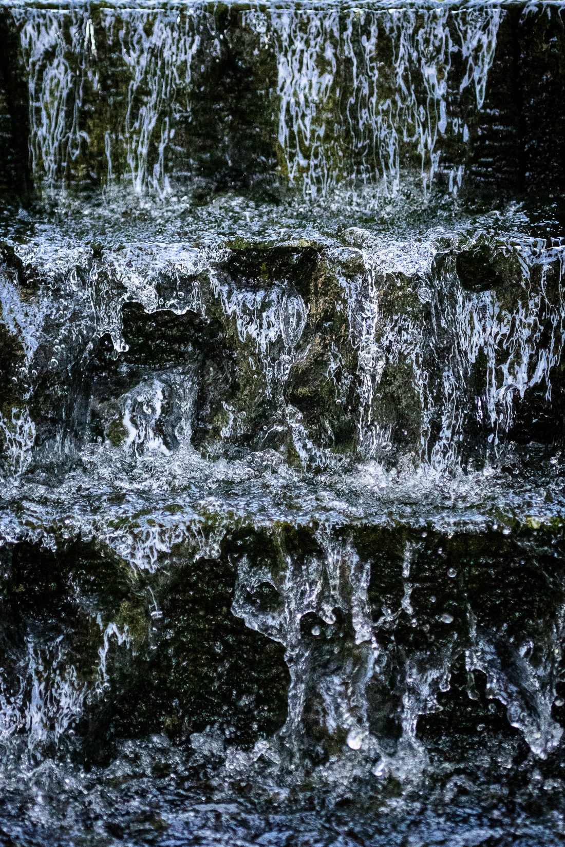 2019-06-06 Holker-52-2