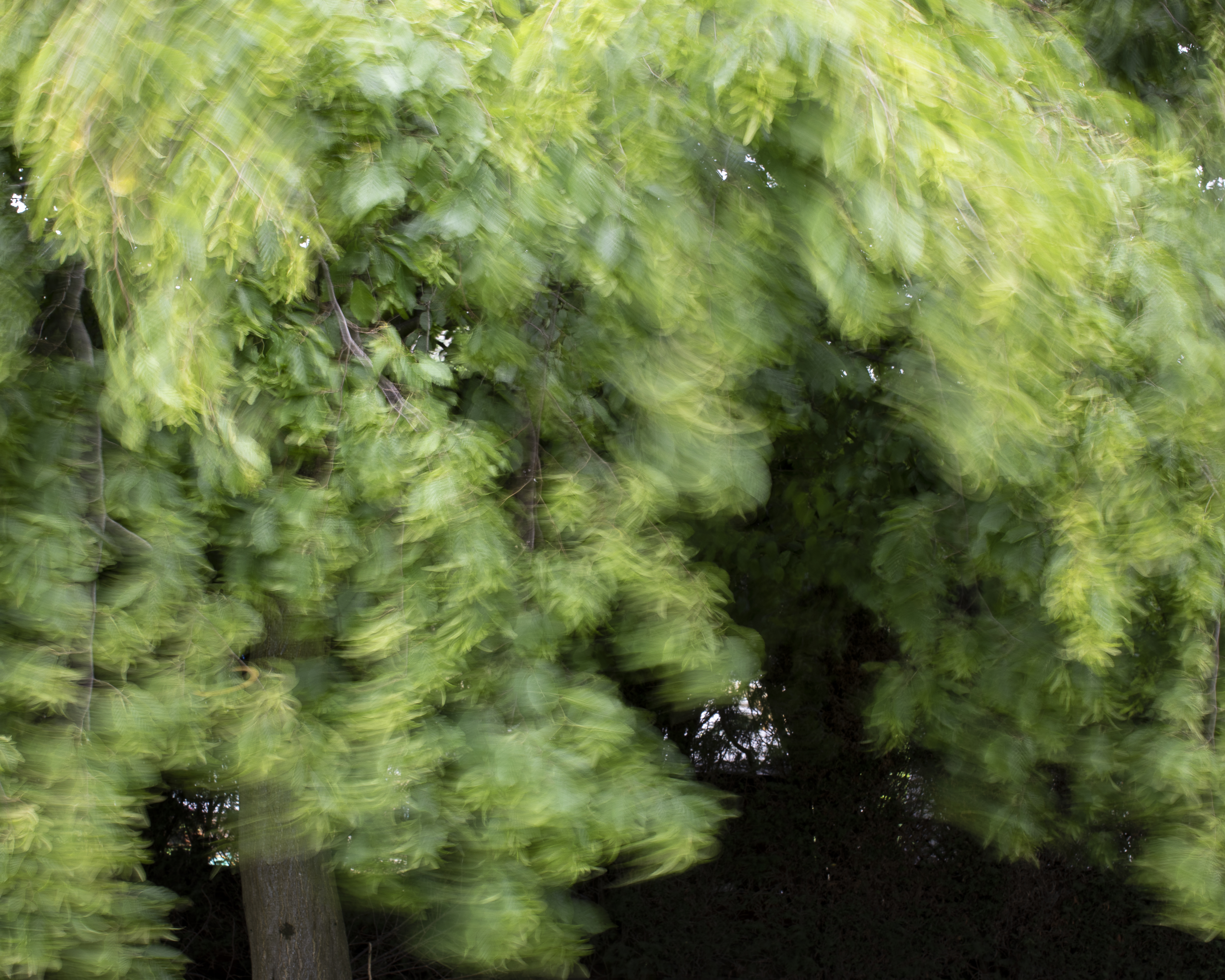 2019-07-01 OCA Ex3-2-21