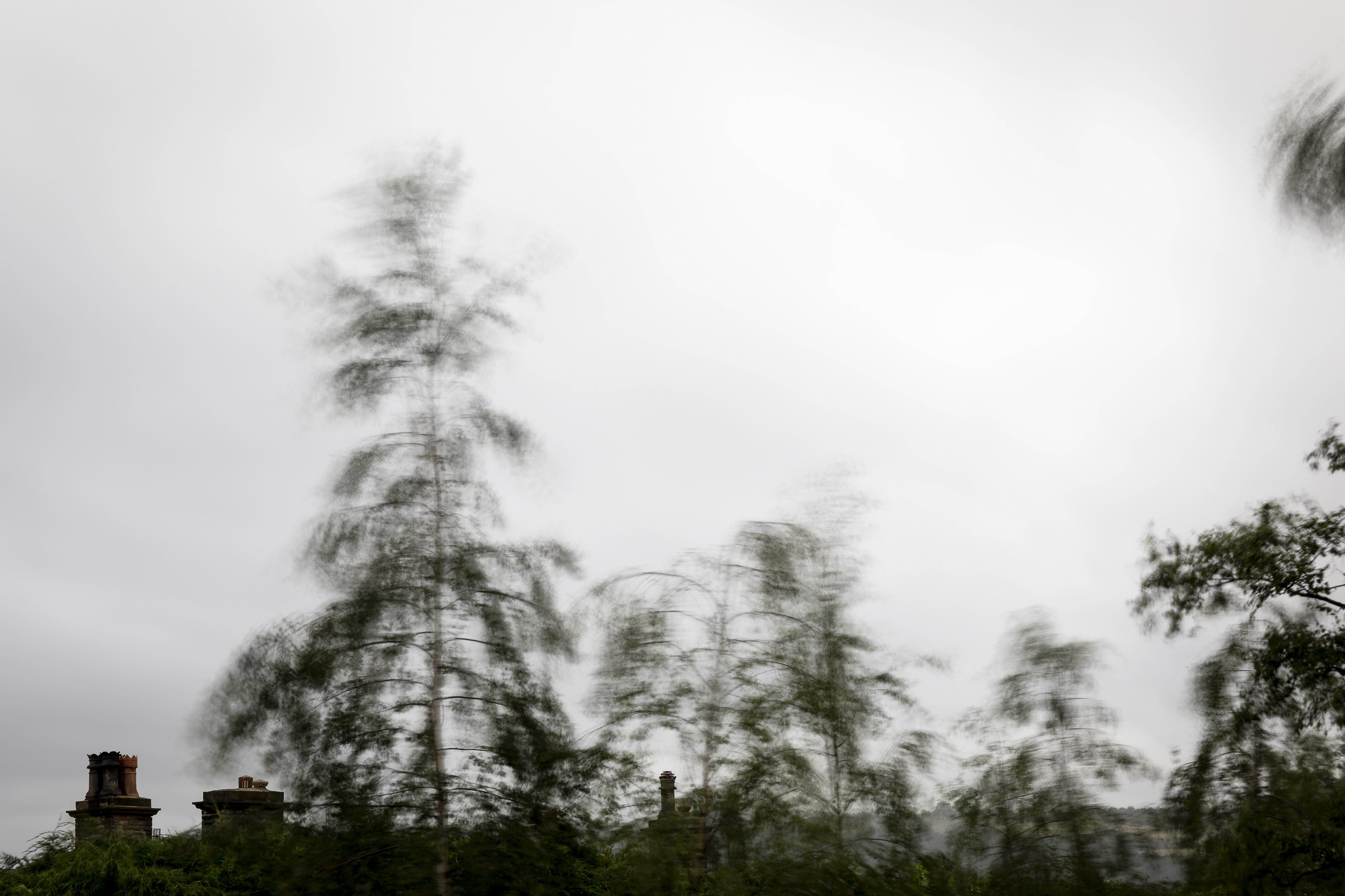 2019-07-01 OCA Ex3-2-40