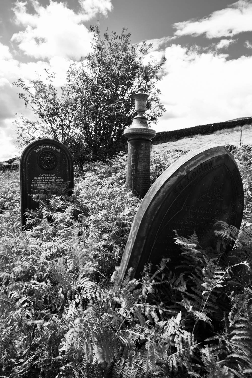 2020-07-10 Woodhead-30