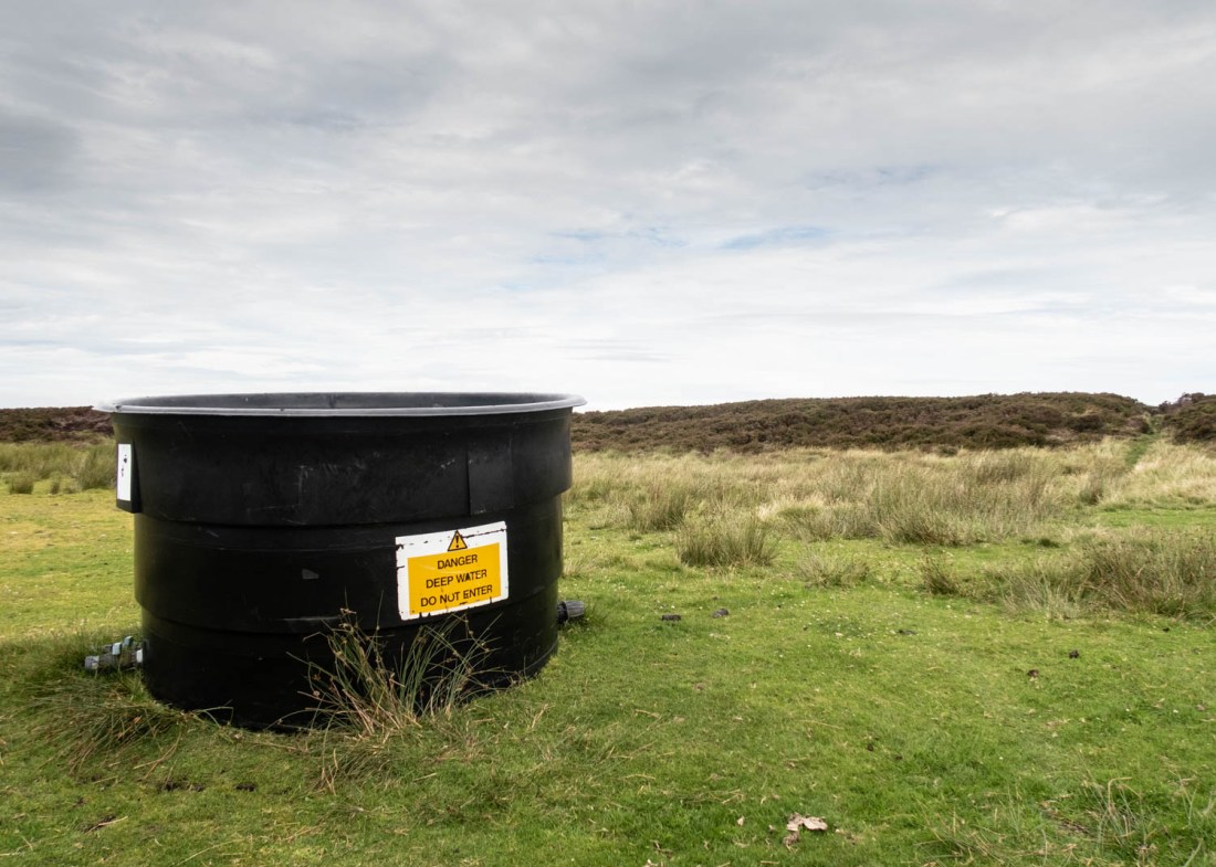 2020-07-30 Cock Hill-1